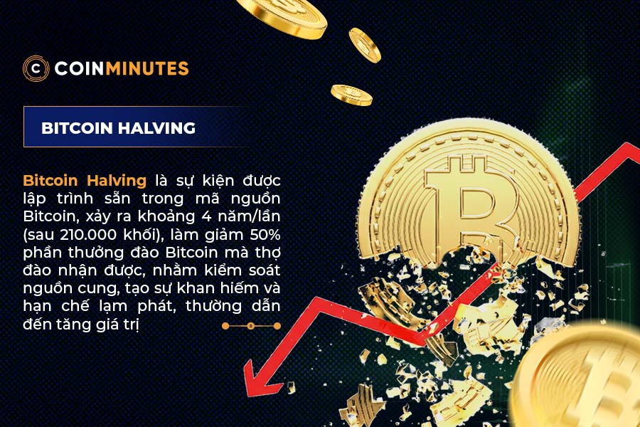Bitcoin Halving tác động đến nguồn cung BTC và giá Bitcoin như thế nào?